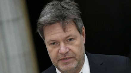 Robert Habeck hält Konsequenzen für Russland bei einem Angriff auf die Ukraine für möglich.