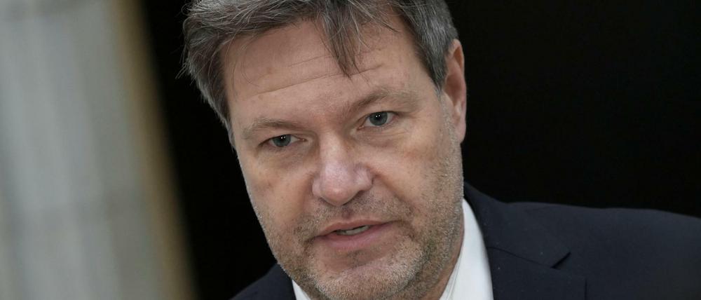 Robert Habeck hält Konsequenzen für Russland bei einem Angriff auf die Ukraine für möglich.