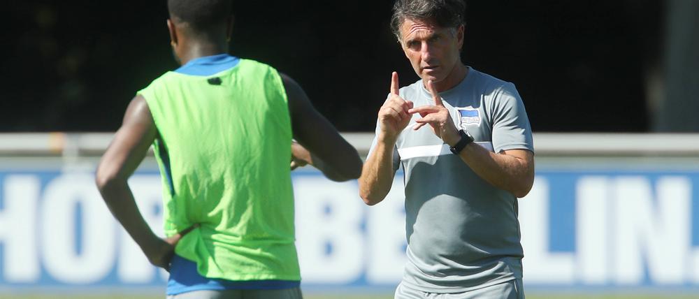 Bruno Labbadia kam in der vergangenen Saison zu Hertha BSC.