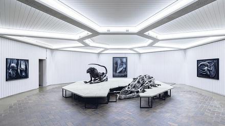 Ausstellungsansicht im Schinkel Pavillon.