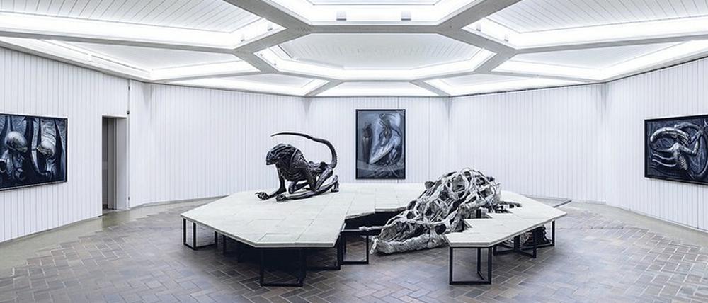 Ausstellungsansicht im Schinkel Pavillon.
