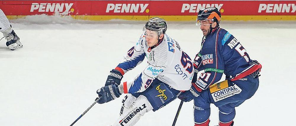 Eisbären und Roosters lieferten sich ein enges Spiel.