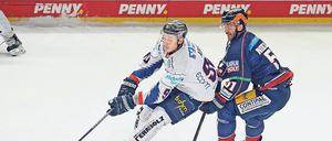 Eisbären und Roosters lieferten sich ein enges Spiel.