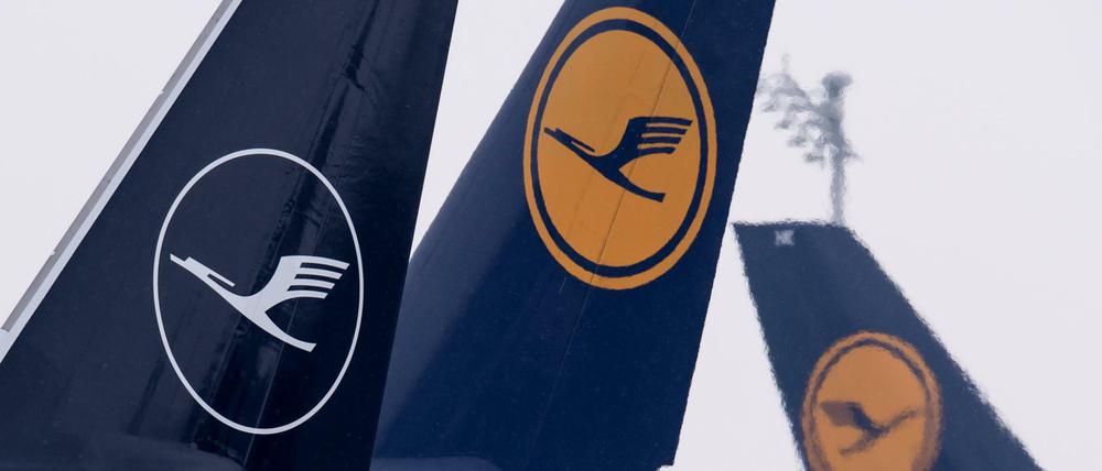 Flugzeuge der Lufthansa auf dem Münchener Flughafen 