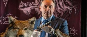DCI John Barnaby (Neil Dudgeon) bekommt es diesmal mit einem Wolfmonster zu tun. Das Phantom - halb Mensch, halb Wolf - verletzt seine Opfer zunächst mit Stahlkrallen, bevor es sie mit einer Silberkugel aus einer antiken Vorderladerpistole tötet.