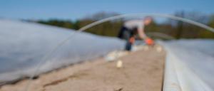 Die Landwirtschaft gehört zu den Bereichen, in denen schlecht gezahlt wird. 