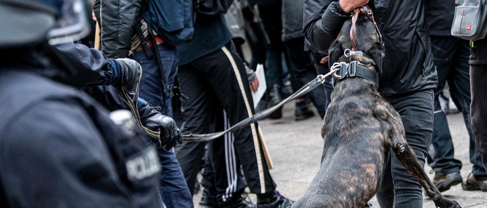 Die Schutzhunde der Polizei werden bei Razzien oder Demonstrationen eingesetzt.