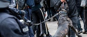 Die Schutzhunde der Polizei werden bei Razzien oder Demonstrationen eingesetzt.