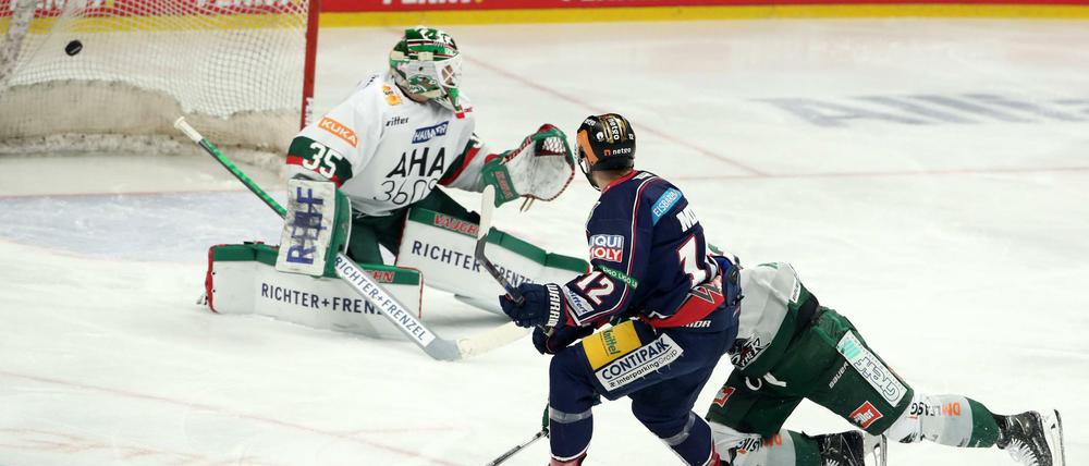 Eric Mik (l) erzielt das 1:1 für die Eisbären gegen die Augsburger Panther.