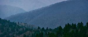 Die Smoky Mountain in Tennessee.