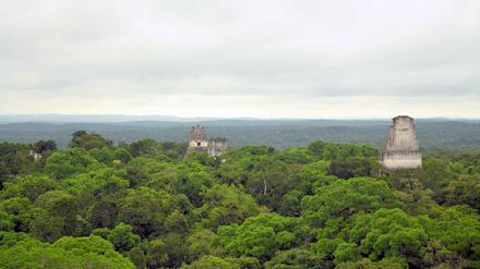 Maya-Tempel über dem Wald in Tikal, Guatemala.
