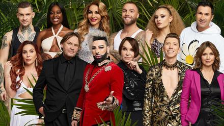 Komplettiert: RTL hat inzwischen sämtliche Teilnehmer des 15. Dschungelcamps, das in Südafrika aufgebaut wird, bestätigt. Mit dabei Eric Stehfest (von oben links), Linda Nobat, Janina Youssefian, Filip Pavlovic, Christin Okpara, Lucas Cordalis, Tara Tabitha, Peter Althof, Harald Glööckler, Anouschka Renzi, Manuel Flickinger, Tina Ruland.