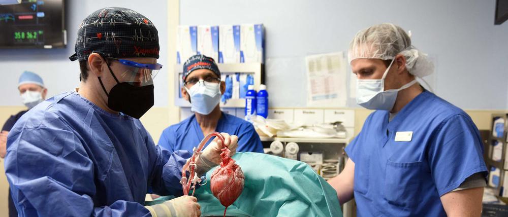 Am offenen Herzen: Foto der Operation am vergangenen Freitag.