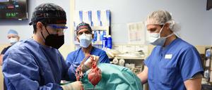 Am offenen Herzen: Foto der Operation am vergangenen Freitag.