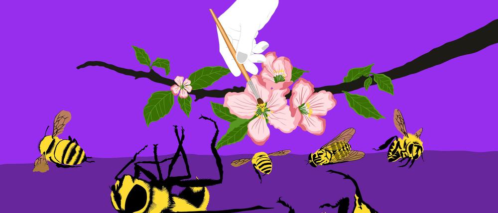 In den vergangenen Jahrzehnten hat Deutschland knapp 80 Prozent der Biomasse an Fluginsekten verloren.