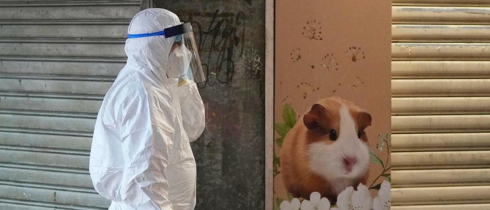 Ein Mitarbeiter des Ministeriums für Landwirtschaft, Fischerei und Naturschutz vor einer geschlossenen Tierhandlung in Hongkong.