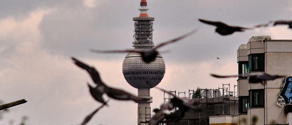 Graue Wolken hängen am Himmel hinter dem Berliner Fernsehturm, von der Kottbusser Brücke im Stadtteil Kreuzberg aus gesehen, während im Vordergrund Tauben zu ihrem Ruheplatz am Landwehrkanal fliegen.