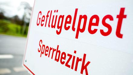 Ein Schild mit der Aufschrift «Geflügelpest Sperrbezirk». (Symbolbild)