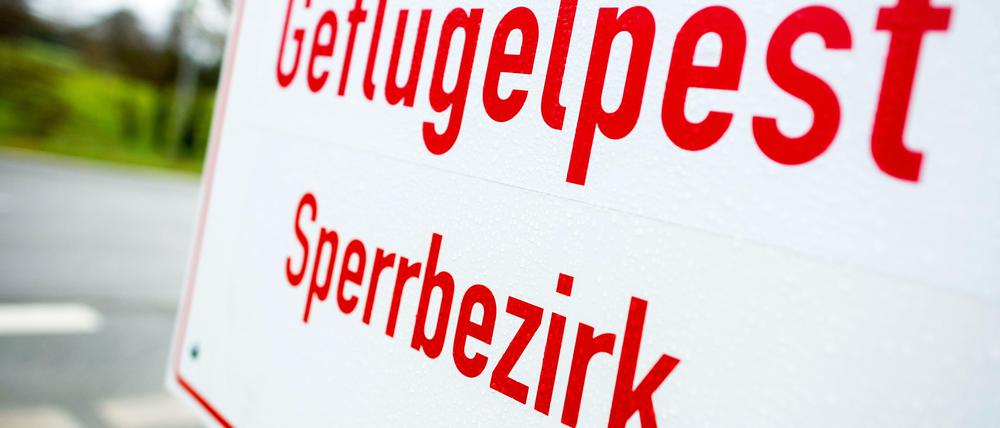 Ein Schild mit der Aufschrift «Geflügelpest Sperrbezirk». (Symbolbild)