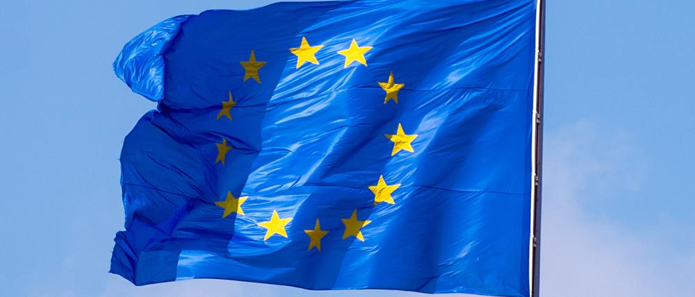 Einreiseverbot nach Russland haben Vertreter einiger EU-Staaten.