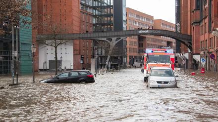 Der Fischmarkt in Hamburg lief zweimal binnen Stunden voll.