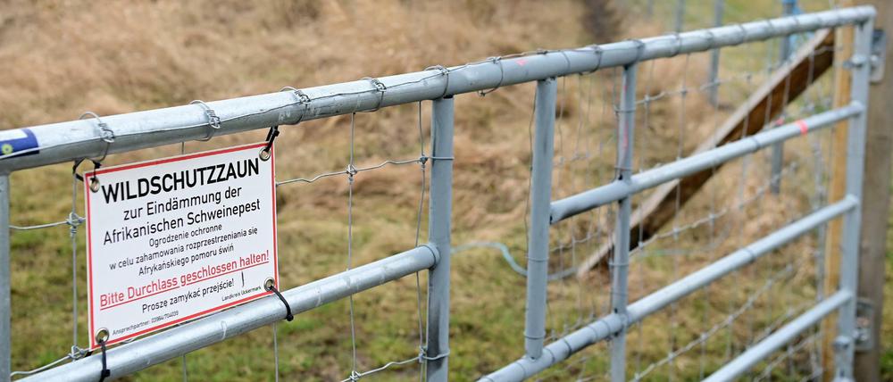 Mehr als einhunderttausend Menschen unterschrieben eine Internet-Petition für die Versetzung eines Teils des Zauns.