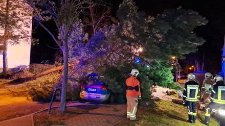 Feuerwehrleute stehen an einem umgestürzten Baum, der in Stahnsdorf (Brandenburg) auf ein parkendes Auto gefallen ist. 