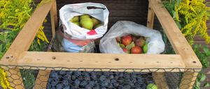 Obstkiste mit Schild "Früchte zum Mitnehmen".