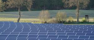 Photovoltaik-Anlagen stehen in einem Solarpark in Schleswig-Holstein.