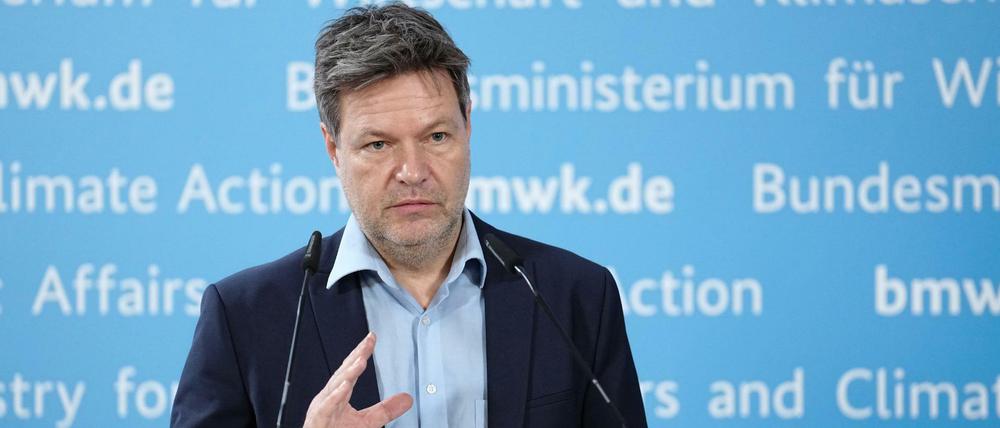 Bundeswirtschaftsminister Robert Habeck.