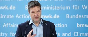 Bundeswirtschaftsminister Robert Habeck. 