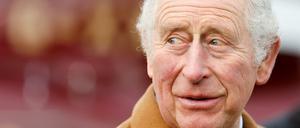 Großbritanniens Thronfolger Prince Charles.