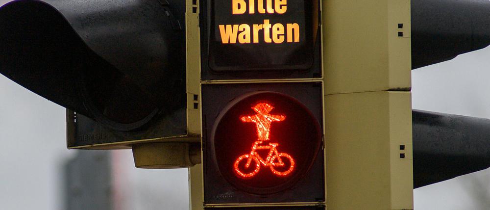Auf eine Fußgängerampel müssen Anwohnende der Blaschkoallee wohl noch länger warten (Symbolbild).