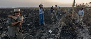 Arbeiter machen eine kurze Pause an einem verbrannten Feld. Der Gouverneur der Region bittet nun um Hilfe-