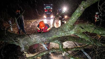 Sturmtief Antonia hat sauerländischen Kierspe Bäume umgeworfen.