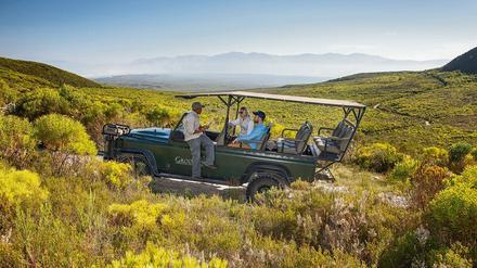Im Grootbos Nature Reserve gehen Reisende auf Blumensafari.