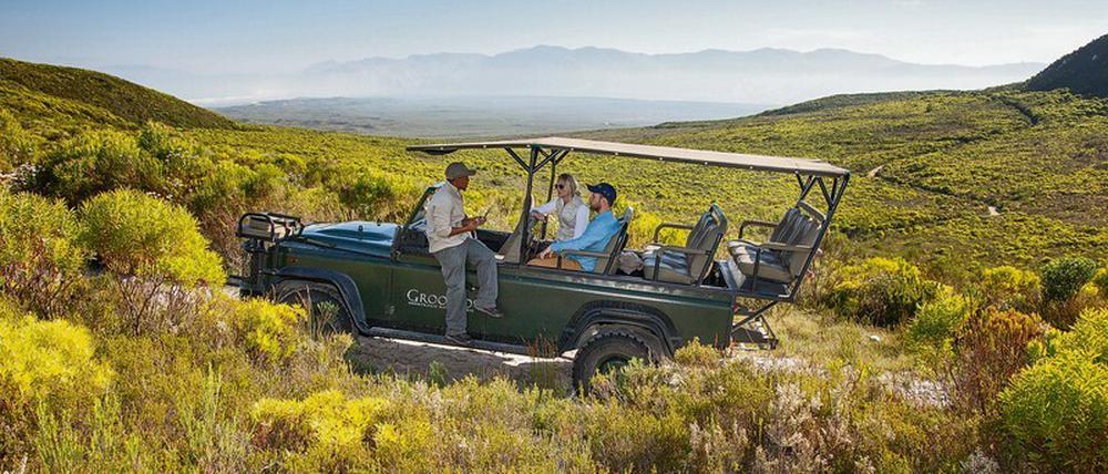 Im Grootbos Nature Reserve gehen Reisende auf Blumensafari.