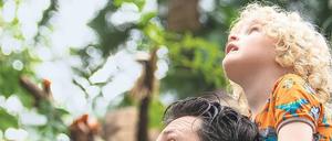 Blick mit Sorge: Jeden Tag verschwinden Schätzungen zufolge rund 130 Tier- und Pflanzenarten von der Erde. Wissenschaftler:innen des Botanischen Gartens setzen dem Artensterben mit verschiedenen Projekten etwas entgegen.