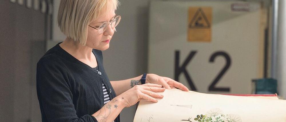 Prachtband: Lisa Trzaska recherchiert die Herkunft einer reichhaltig illustrierten Ausgabe von Alexander von Humboldts Reisebericht.