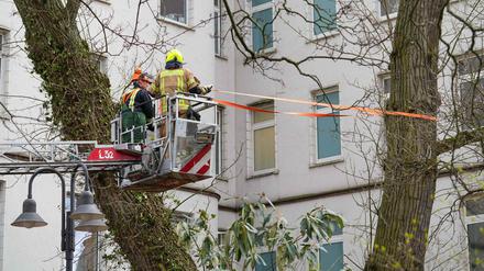 Baum gegen Gebäude: Am Martin-Luther-Krankenhaus in Schmargendorf war ein Baum gegen die Fassade gestürzt.