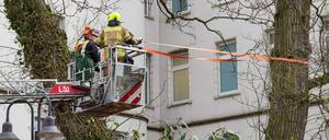 Baum gegen Gebäude: Am Martin-Luther-Krankenhaus in Schmargendorf war ein Baum gegen die Fassade gestürzt.