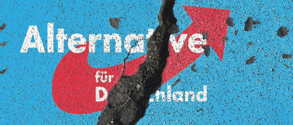 Die Neuköllner AfD verlor zuletzt einige Mitglieder an andere Parteien (Symbolbild).