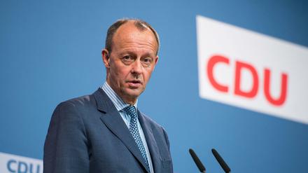 Friedrich Merz, CDU-Vorsitzender