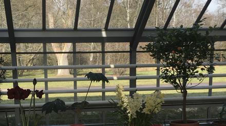 Das Café Mint im Botanischen Volkspark Blankenfelde.