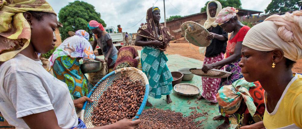 Kakaobäuerinnen an der Elfenbeinküste.
