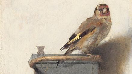 Angekettet. Carel Fabritius’ „Der Distelfink“ von 1654.