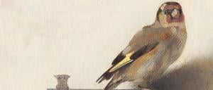 Angekettet. Carel Fabritius’ „Der Distelfink“ von 1654.