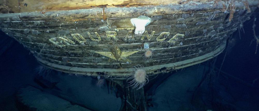Aufnahme vom Heck der „Endurance“ am Wrack des 1915 gesunkenen Schiffes