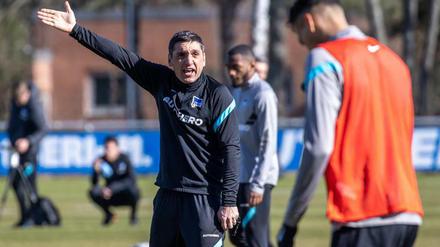 So vielleicht? Tayfun Korkut will die Mannschaft wachrütteln.