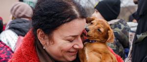Hunde spenden Trost - auch mitten im Krieg.